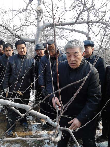蘋果專家伍孝賢現(xiàn)場培訓(xùn)蘋果樹的修剪與栽培技術(shù)